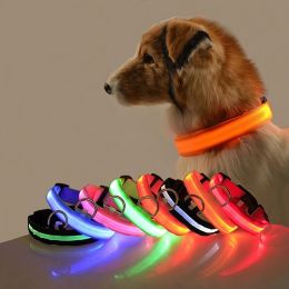 Glow-In-The-Dark Pet Collar For Dog & Cat; LED Dog Collar For Night Walking; USB charging (Color: Green, size: S)